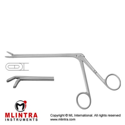 Leminectomy Rongeur Down - Fenestrated and Serrated Jaws Stainless Steel, 15.5 cm - 6" Bite Size 2 x 12 mm